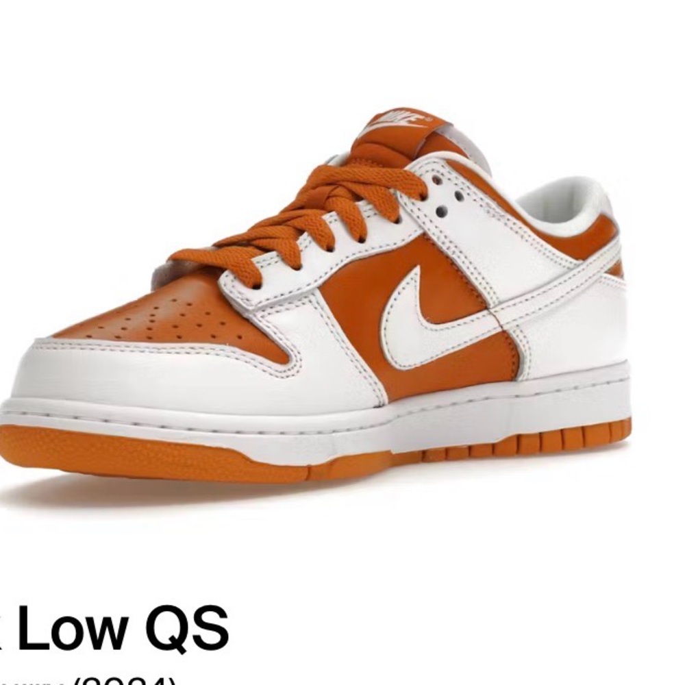 Nike Dunk Low Dark Curry and White Sneakers